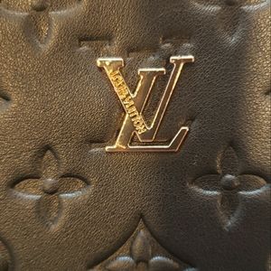 Louis Vuitton clutch/tablet case